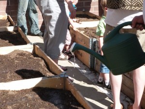 detail of planter boxes and volunteers