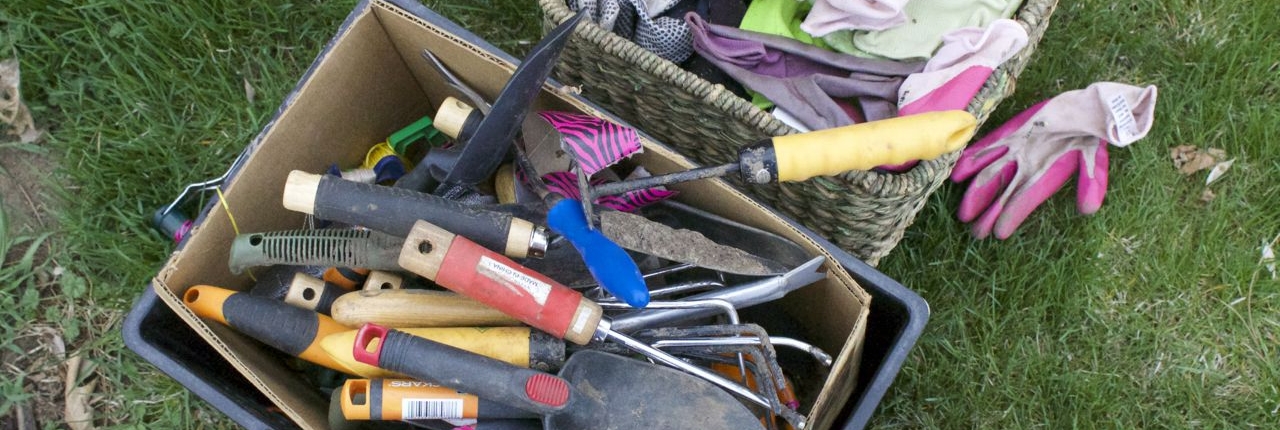 collection of garden tools