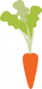 illustrated carrot