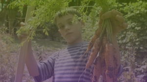 young boy holding carrots