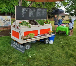 free veggie bike produce